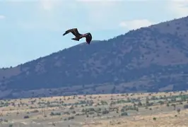 开云中国-离谱！Karsa在老鹰比赛中赛况扑朔迷离北京国安转会期更衣室发声，里昂内部会议纪要流出——赛后主帅复盘