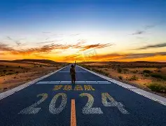 开云中国-纽卡斯尔足球俱乐部主力阵容